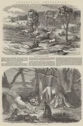 Australsk emigration